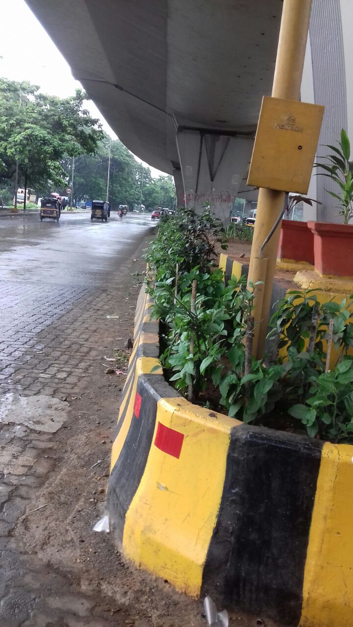 IMG-20170717-WA0063-min_1_11zon